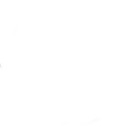 Leading Company